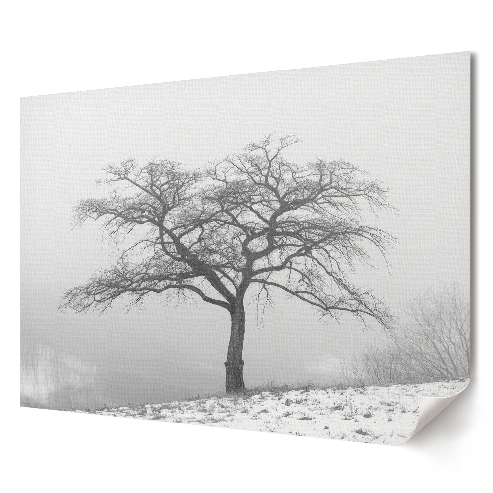 Tablou canvas modern Un copac singuratic într-un peisaj învăluit în ceață