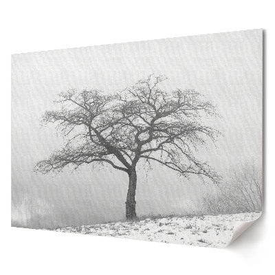 Tablou canvas modern Un copac singuratic într-un peisaj învăluit în ceață