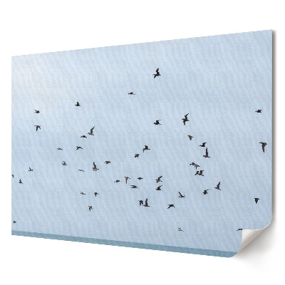 Tablou canvas modern Păsări care zboară pe cer