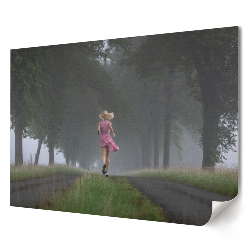 Tablou canvas modern Alergând printr-o alee cețoasă de copaci