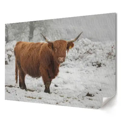 Poster pentru living cu taur roșu în peisaj de iarnă