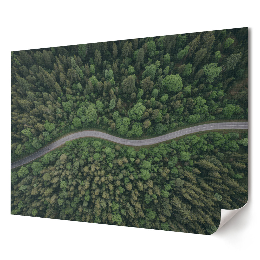 Poster de perete elegant Un drum șerpuitor într-o pădure verde
