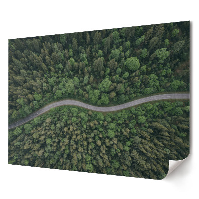 Poster de perete elegant Un drum șerpuitor într-o pădure verde