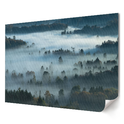 Tablou canvas modern Panoramă a pădurii cețoase la răsărit