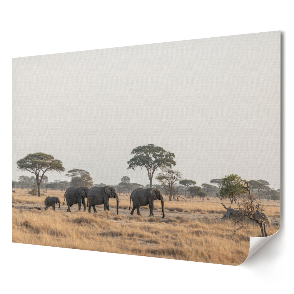 Poster de perete elegant O turmă de elefanți în savana africană