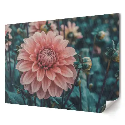 Tablou canvas modern cu dalii roz în grădina secretă