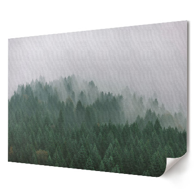 Tablou canvas modern Panoramă cețoasă a pădurilor verzi
