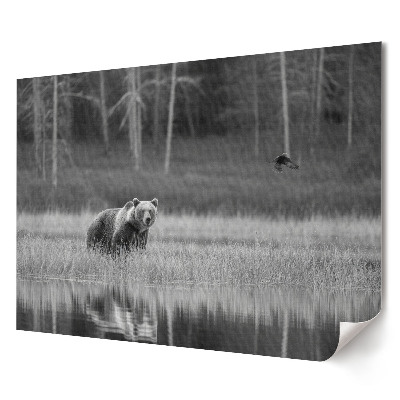 Poster de perete elegant Un urs printre peisajele forestiere