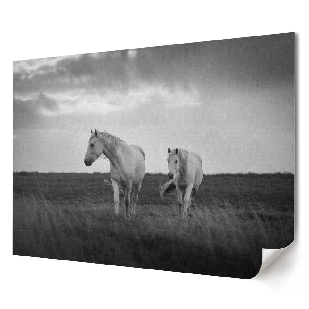 Poster decorativ pentru living cu cai albi la apus