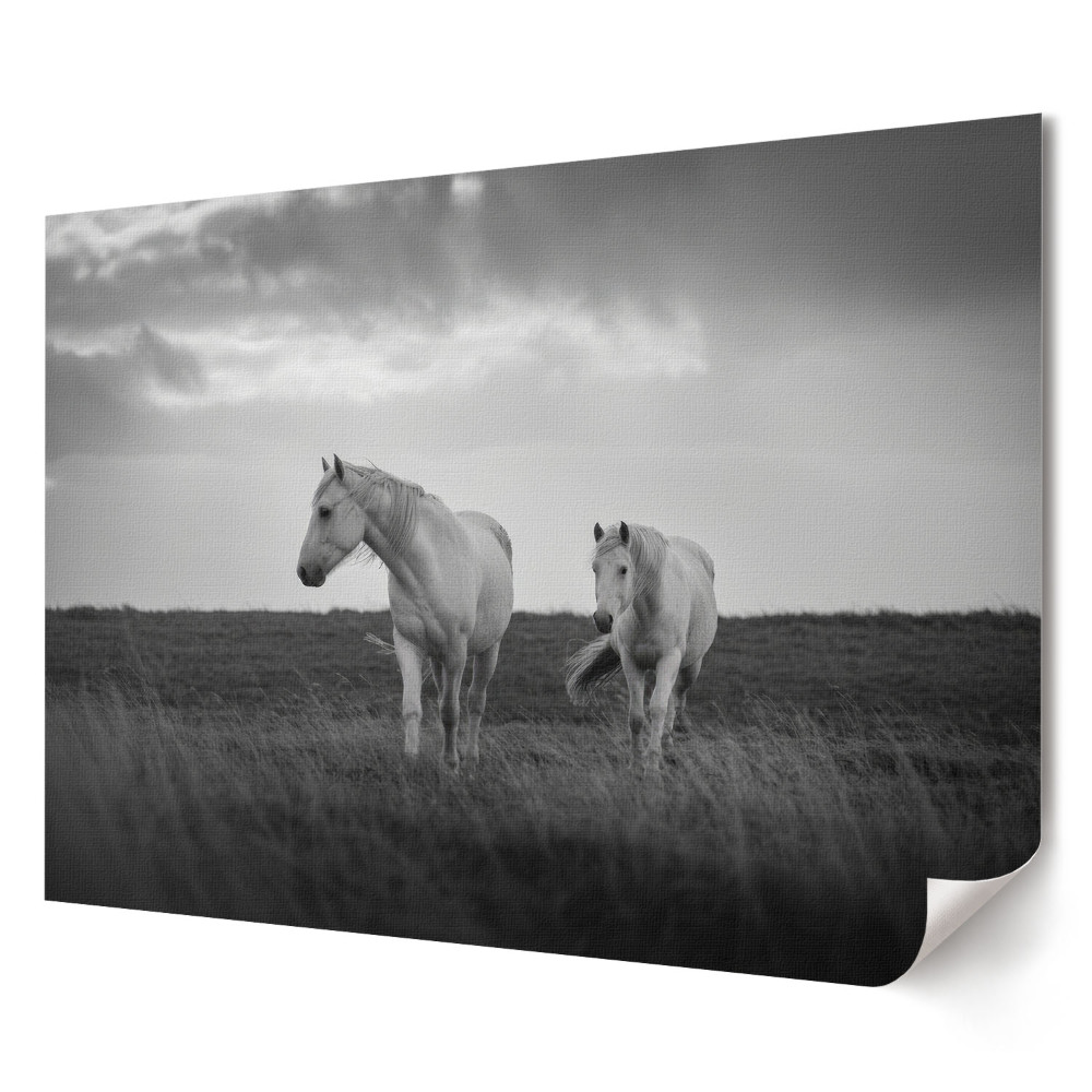 Poster stilat pentru living Cai albi pe fundalul apusului