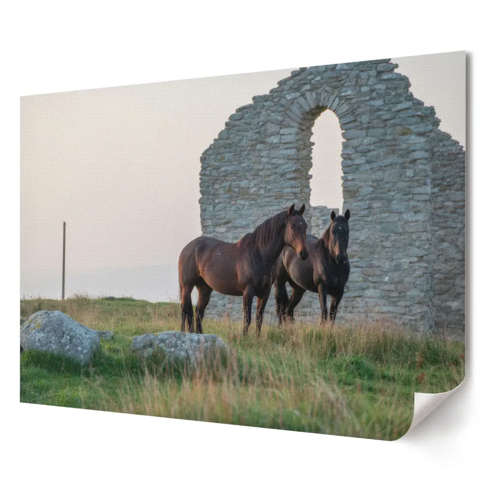 Tablou canvas modern cu cai printre ruinele unei clădiri vechi