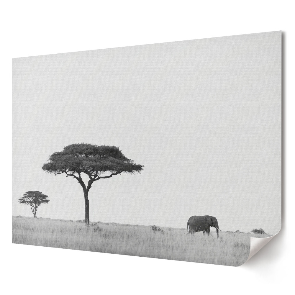 Poster stilat pentru living Peisaj idilic cu un elefant african