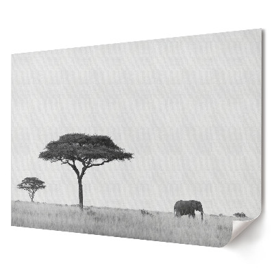 Poster stilat pentru living Peisaj idilic cu un elefant african