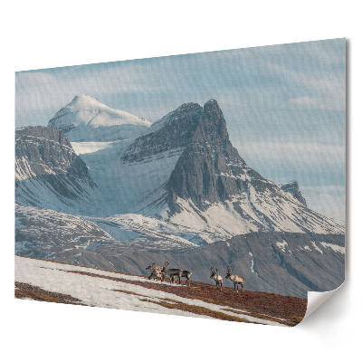 Poster stilat pentru living Reni în peisajul montan arctic