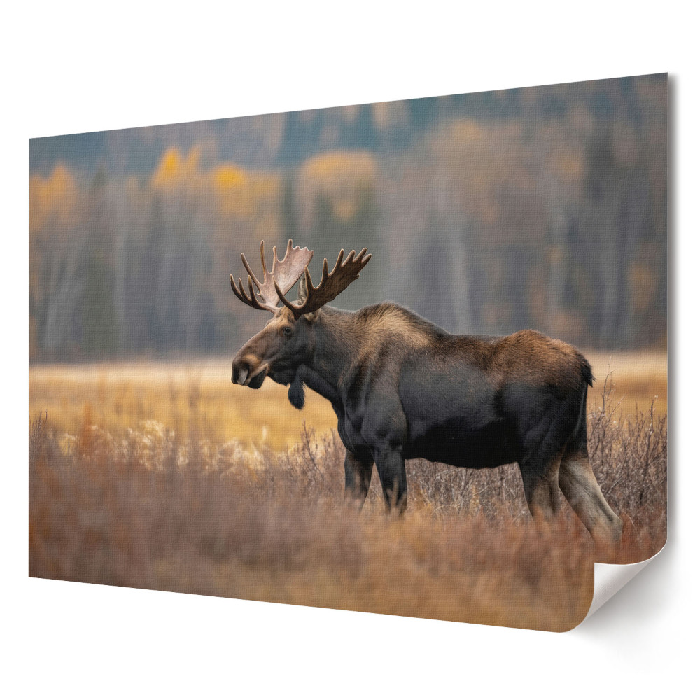 Tablou canvas modern Elan în peisajul natural de toamnă