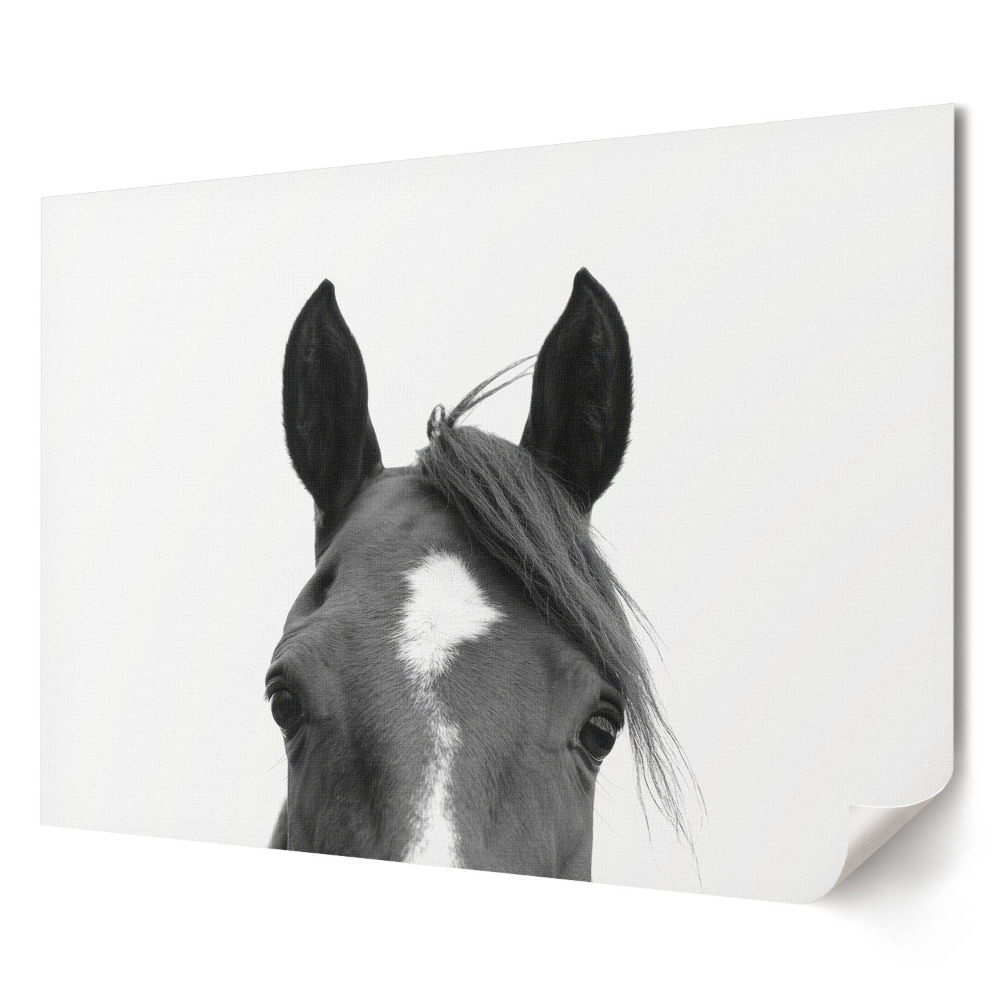 Poster de perete elegant Portret de cal pe fundal alb