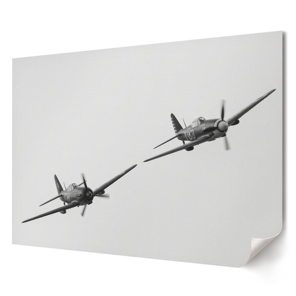 Tablou canvas modern Avioane istorice în zbor