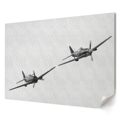 Tablou canvas modern Avioane istorice în zbor