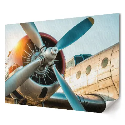 Tablou canvas modern cu motor de avion în razele soarelui