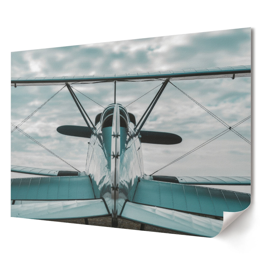 Poster de perete elegant Un avion pe cer din spate