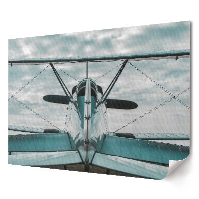 Poster de perete elegant Un avion pe cer din spate