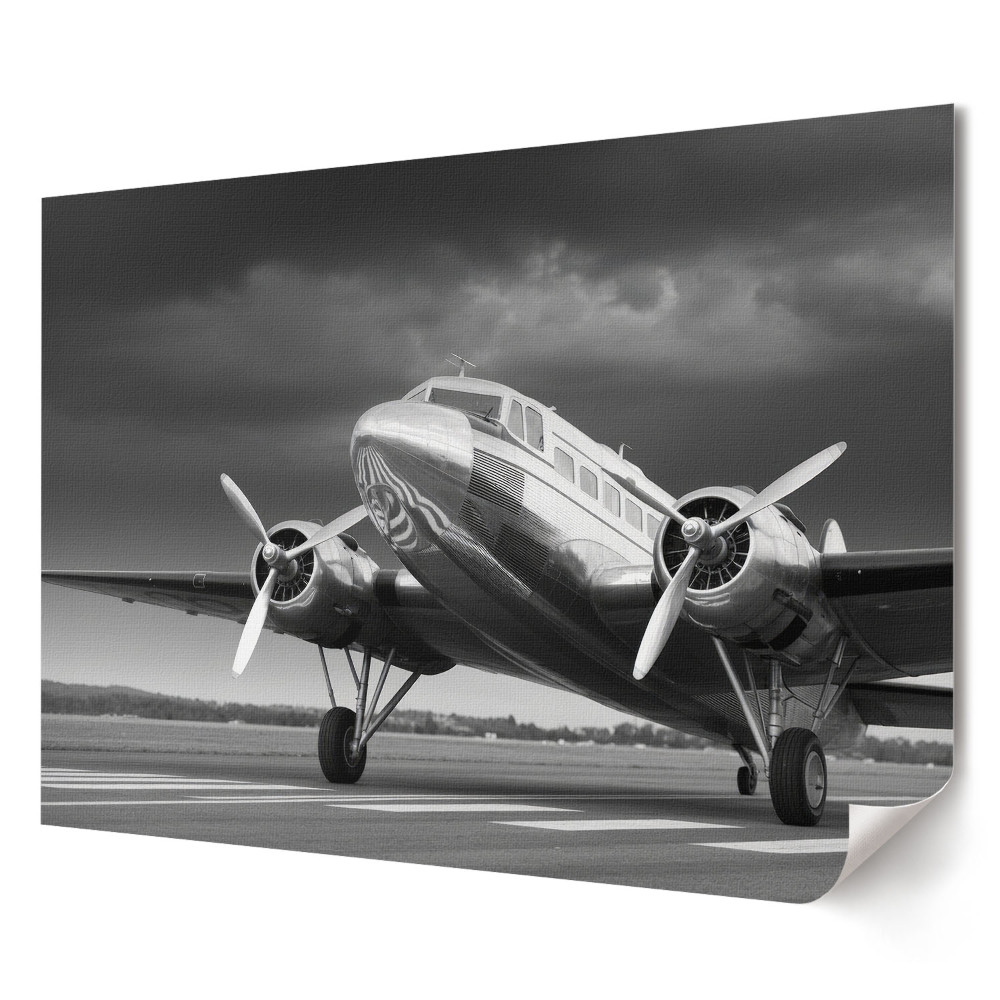 Tablou canvas modern Avion vechi pe pistă