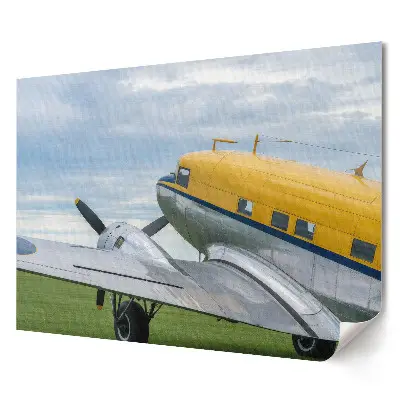 Tablou canvas modern cu avion de epocă pe cer