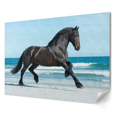 Poster de perete elegant Un cal negru alergând pe plajă