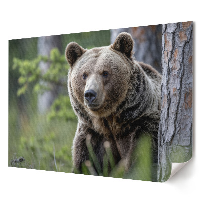 Poster stilat pentru living Un urs într-un cadru de pădure