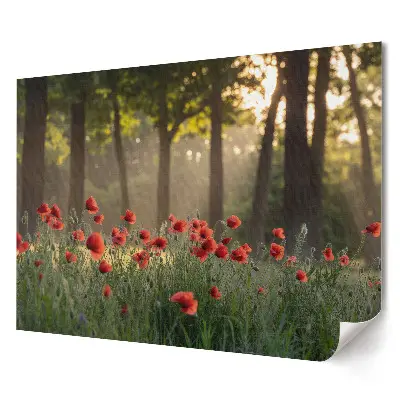 Poster stilizat pentru living cu maci roșii în pădure