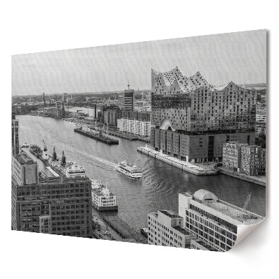 Poster stilat pentru living Arhitectură modernă pe malul râului în monocrom