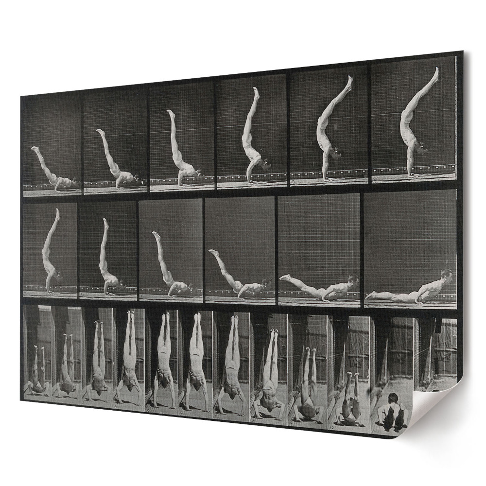 Tablou canvas modern Evoluția mișcării în gimnastica ritmică