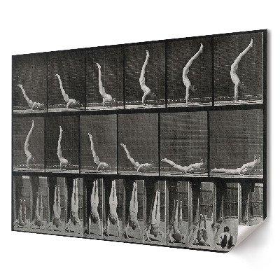 Tablou canvas modern Evoluția mișcării în gimnastica ritmică