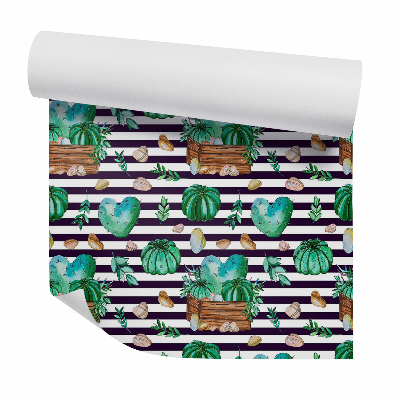 Tapet perete Cactusi si pietricele pe un fundal cu dungi