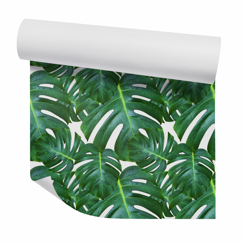 Tapet decorativ Monstera verde deschis