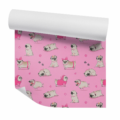 Tapet de perete Câine pug în haine