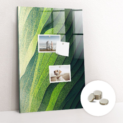 Tablă magnetică de scris Benzi verzi ale naturii