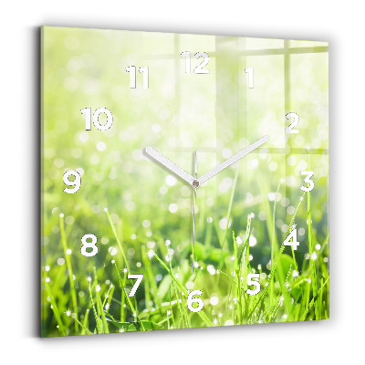 Ceas pătrat de perete din sticlă iarbă verde