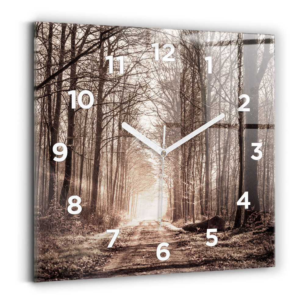 Ceas pătrat de perete din sticlă Poteca în sepia