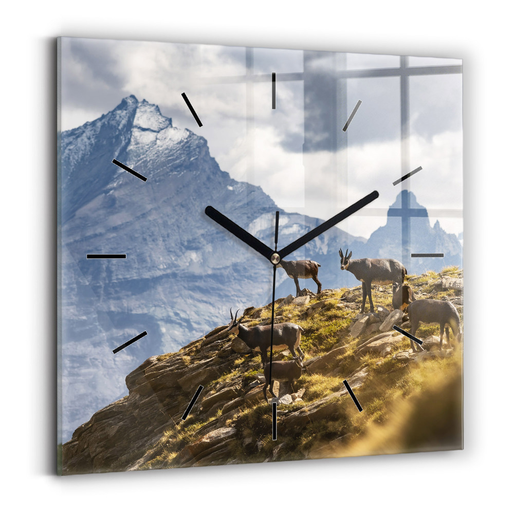 Ceas de sticlă pe perete pătrat Capră în Valea Aostei