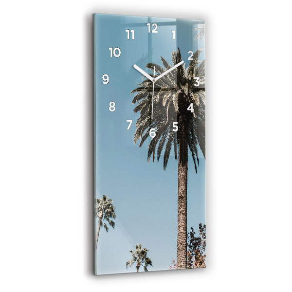 Ceas de sticlă pe perete vertical Palmieri Din Los Angeles