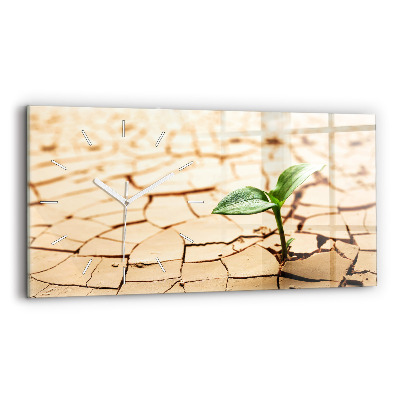 Ceas de sticlă pe perete orizontale Plantați în sol uscat