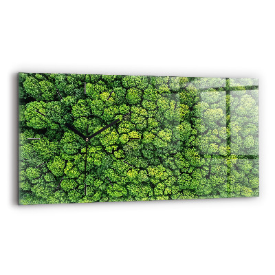 Ceas orizontale de perete din sticlă Pădure din vedere de ochi de pasăre