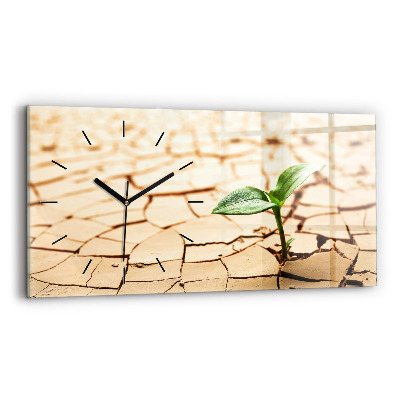 Ceas de sticlă pe perete orizontale Plantați în sol uscat