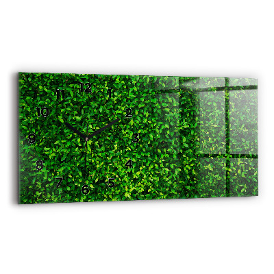Ceas perete din sticlă orizontale Frunze de gard viu