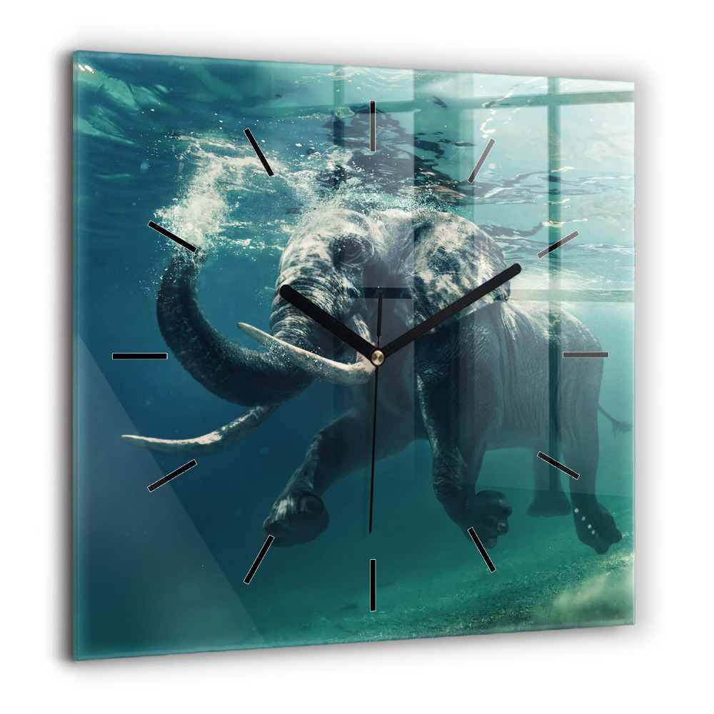 Ceas pătrat de perete din sticlă Aripi colorate de pasăre Macaw