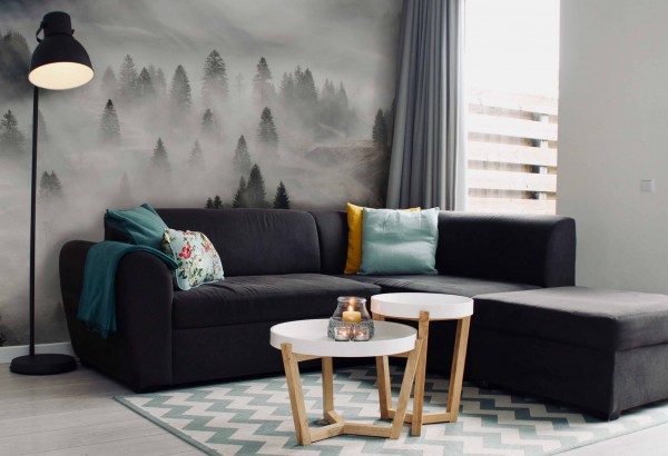 Transformarea camerei de zi în 5 pași: adăugați viață și culoare